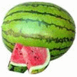 Baby Watermelon