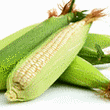 Corn White