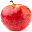 Gala Apple