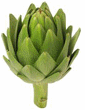 Artichoke