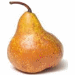 Bosc Pear