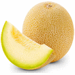 Cantaloupe Melon