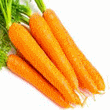 Carrot