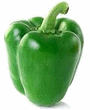 Green Pepper