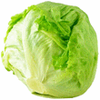 Lettuce