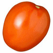 Plum Tomato