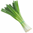 Scallions